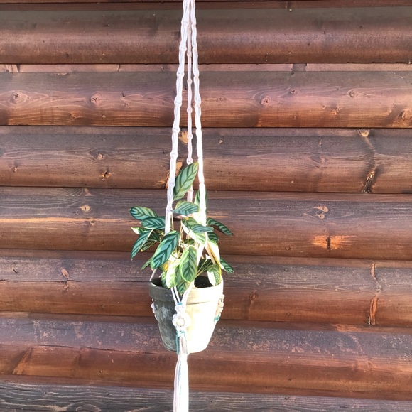 Handmade Macrame (Daisy) Plant Hanger - Picture 5 of 6
